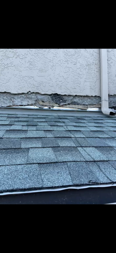 clearview roof